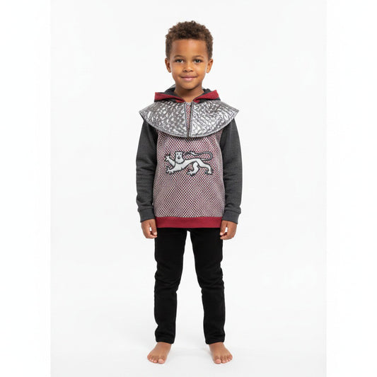 Ridderhoodie met maliënkolderprint, kap en draakembleem